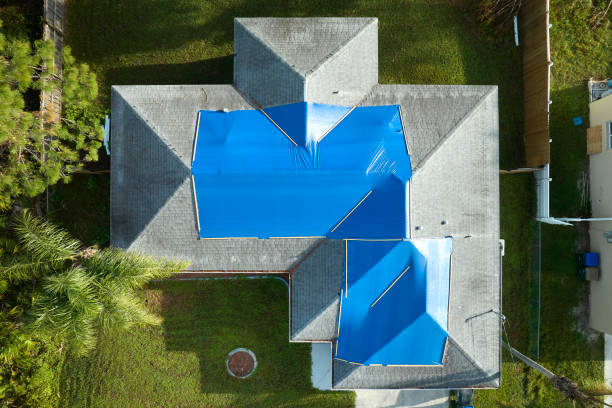 Best Skylight Installation and Repair  in Pine Nyon, CA
